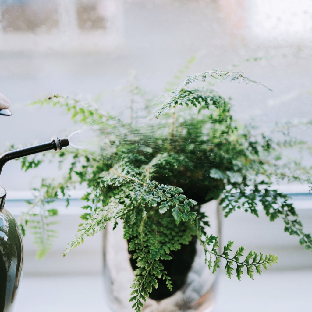 Luftentfeuchter in Hamburg – Schimmel vermeiden & gesund wohnen